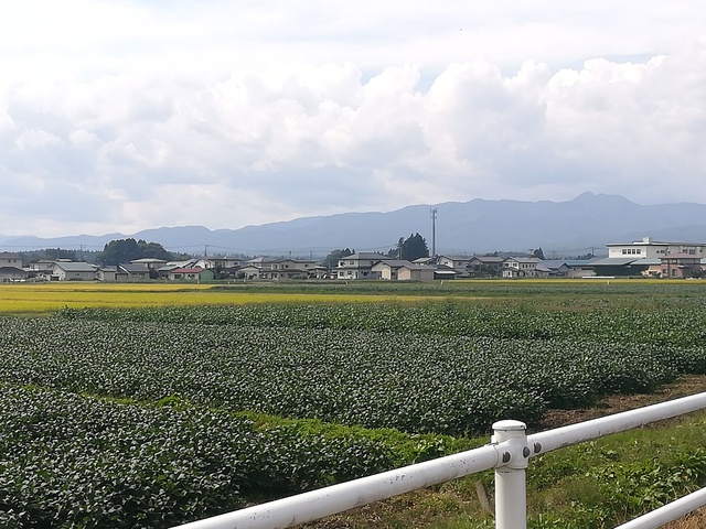 田園風景と住宅の画像