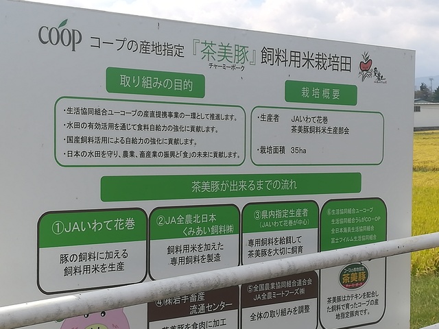 茶美豚について説明している看板