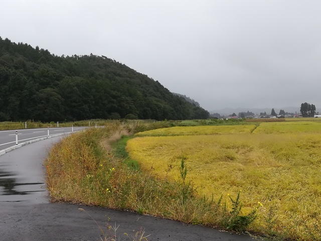 島バイパスの外側に広がる森林と田園風景