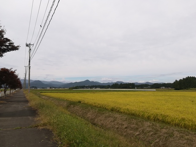 田園風景の画像