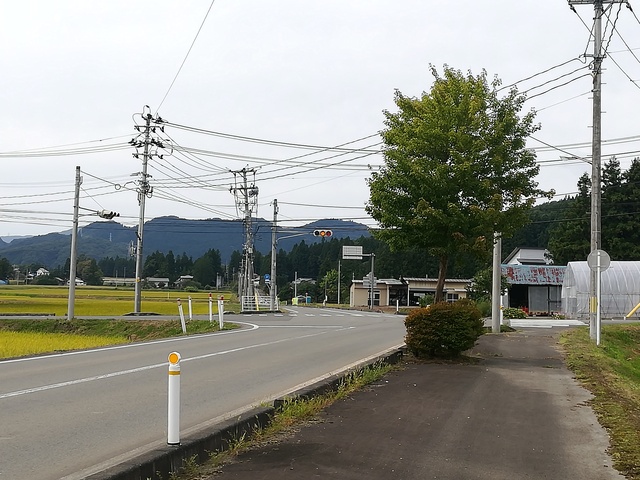 高円万寺浄水場前の交差点の画像