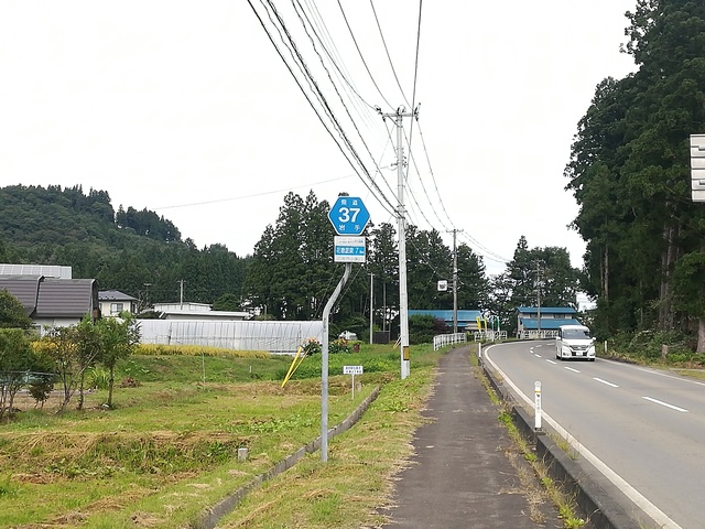 県道37号線の看板の画像