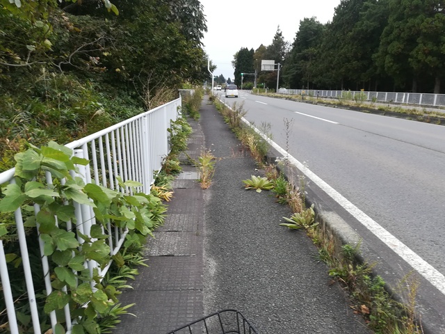 花巻市石鳥谷町の道路